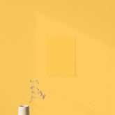 Échantillon Nuancier Jaune Magnifique